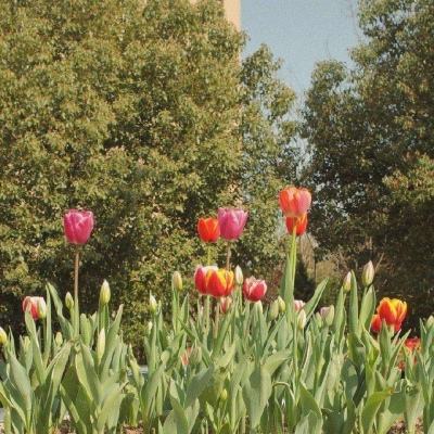 天博体育官网入口下载手机版