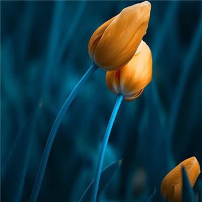 Kaiyun·开云体育app下载